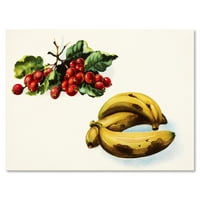 Червени плодове и банан живопис платно изкуство печат