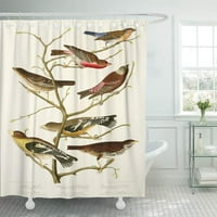 Картини Лазули Финч Джон Джеймс Одубън птици от дивата природа Декор за баня баня за душ завеса